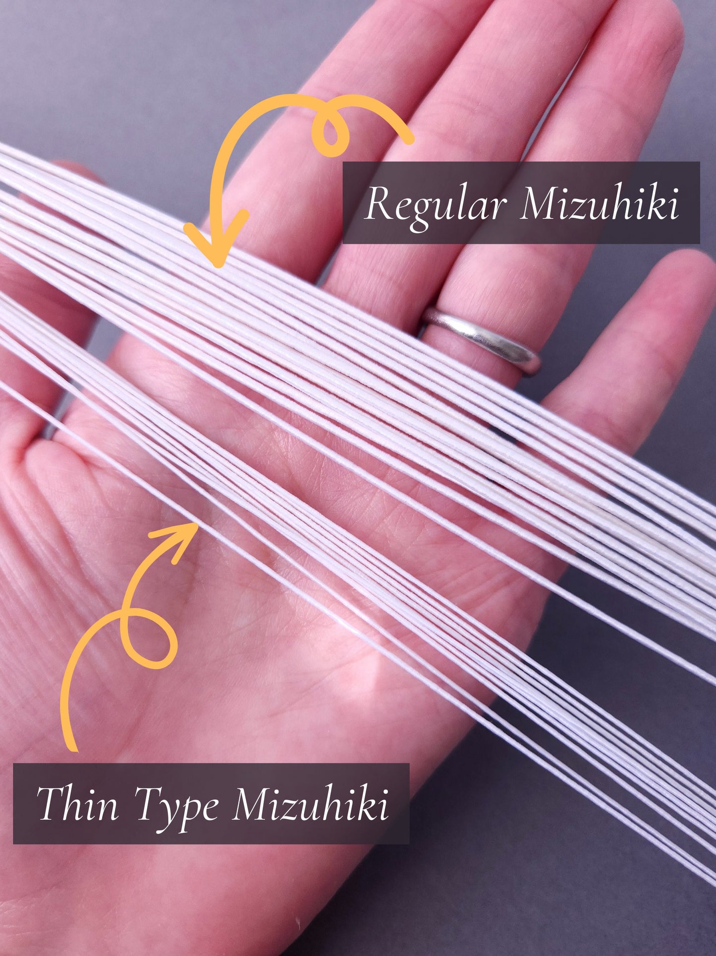 Chrysanthemum - White