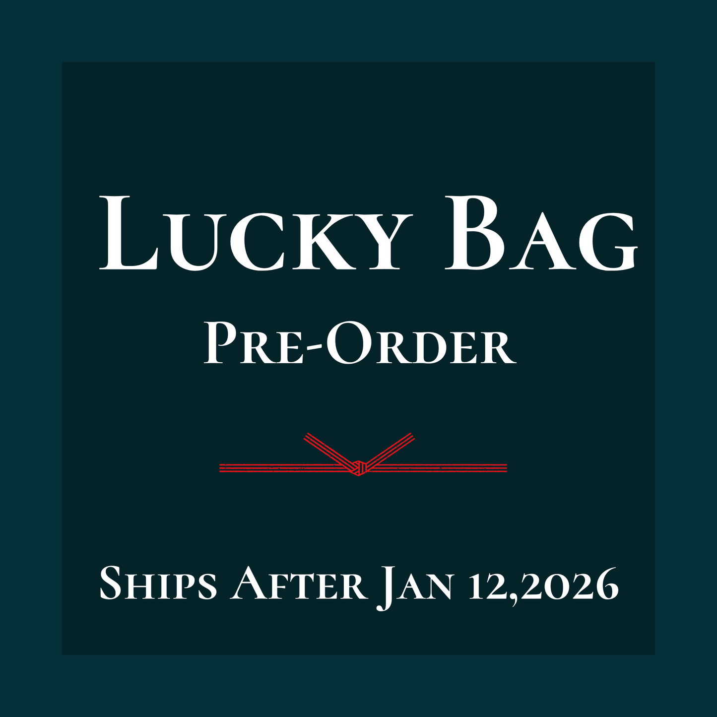Lucky Bag – Limited Edition (Ships After Jan 12)